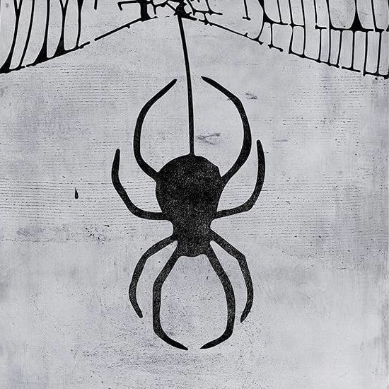 Why Are Humans Afraid of Spiders? The Real History of Arachnophobia