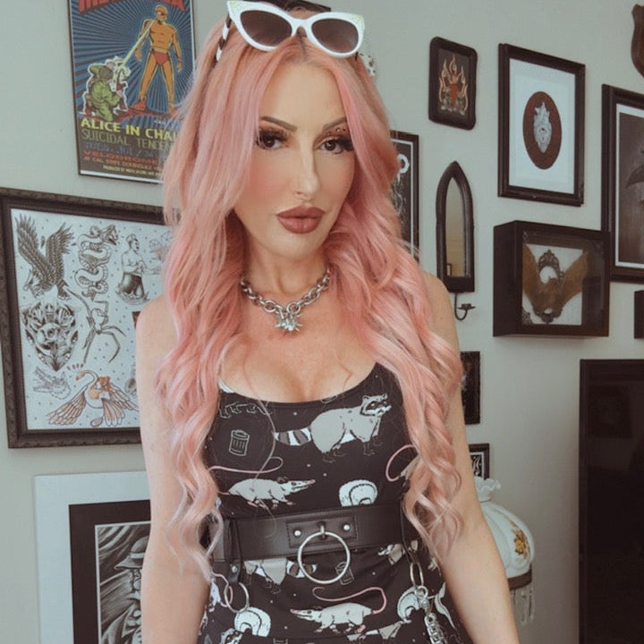 Garbage Cats Skater Dress